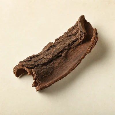 Pygeum africanum bark