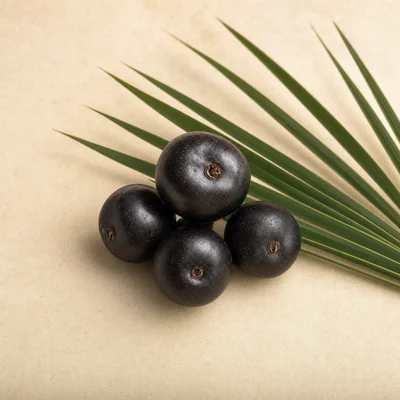 Saw Palmetto berries